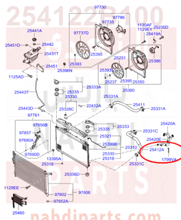 254122B100,HOSE-RADIATOR LOWER,N/A