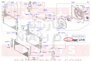 254153S000,HOSE ASSY-RADAATOR,LWR,هوز رديتر
