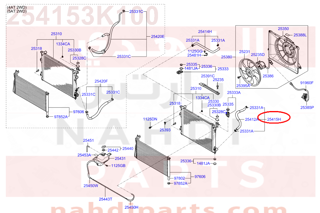 254153K100,HOSE ASSY-RADAATOR,LWR,هوز رديتر
