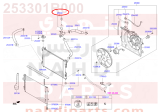 253301R000,CAP ASSY-RADIATOR,N/A