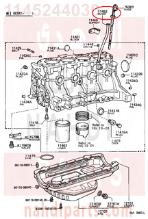 1145244030,GUIDE, OIL LEVEL GAGE,دعامة 