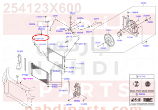 254123X600,HOSE-RADIATOR LOWER,هوز رديتر