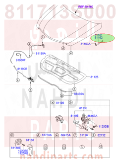 811713S000,LIFTER-HOOD,RH,مساعد كبوت