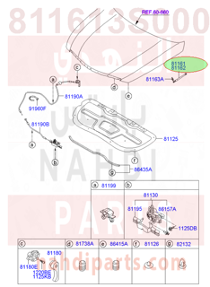 811613S000,LIFTER-HOOD,LH,مساعد كبوت