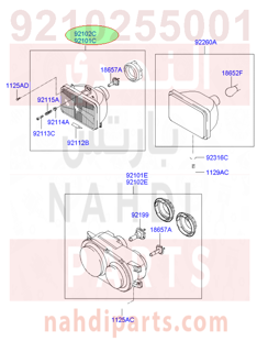 9210255001,HEADLAMP ASSY-OTR,N/A